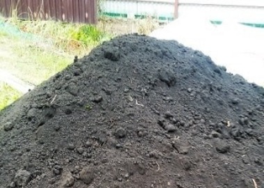 чернозем на участке