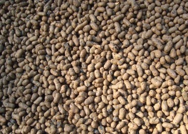 щебень гравийный